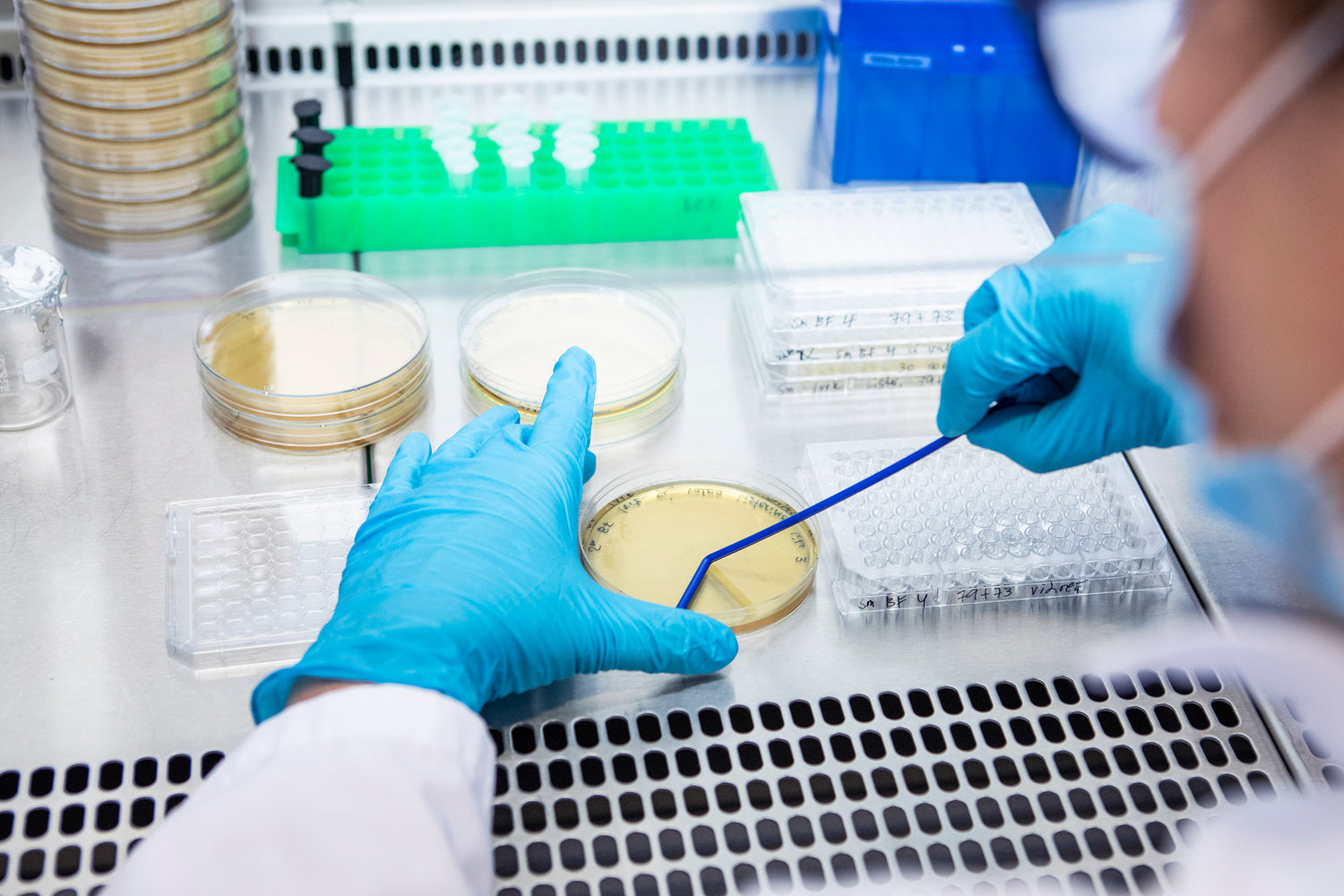 Kaksi vuotta suun terveyden edistämistä